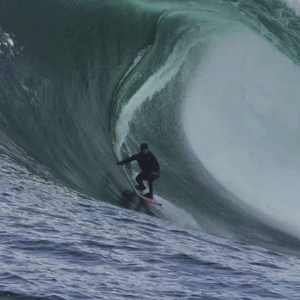 Surfing: Freddie Medows