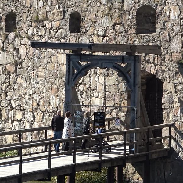 Kulturparken Småland, Kronobergs slottsruin