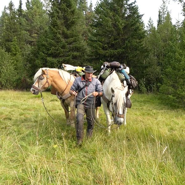 Fransmannen Jean Marie Soliveres ute på vandring med sina tre hästar.