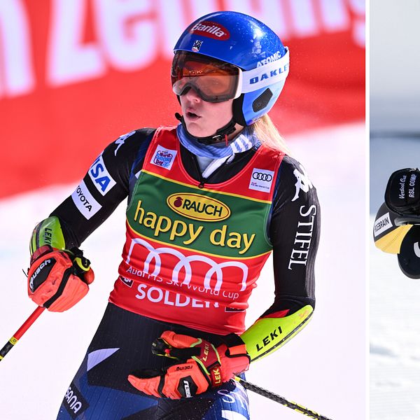 Shiffrin och Hector