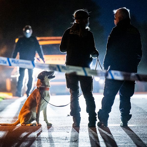 En delad bild som visar två scener. Till vänster syns en mörk miljö med tre poliser som står vid en avspärrning och en hund som vaktar på en ledig plats. Till höger står en person med utsträckta händer vid en vägg med texten tingsrätt.