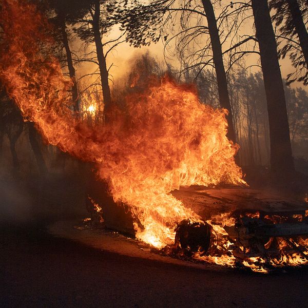 Bränder härjar i Grekland – en volontärbrandman berättar.