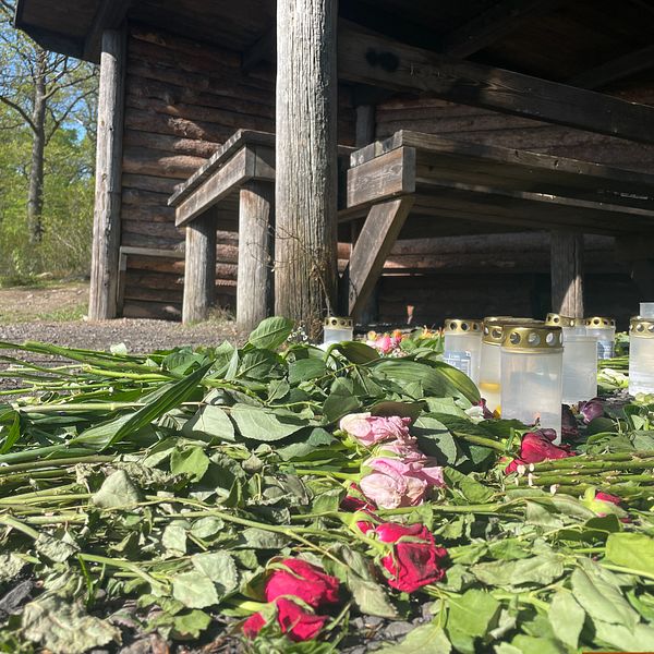 En bild på vindskyddet där kvinnan hittades död, där ligger rosor på marken och gravljus är tända. På andra delen av bilden syns en blurrad bild på kvinnan med en vit och svartrandig tröja. Hon sitter vid ett köksbord.