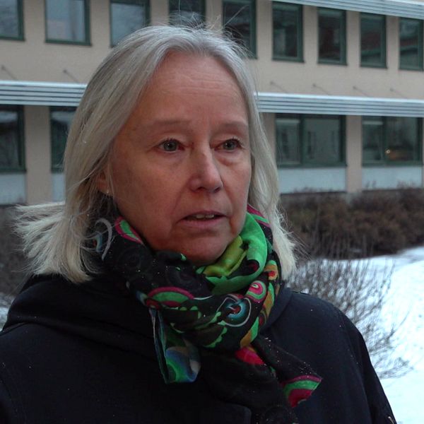 Kvinna som står och pratar framför länsstyrelsens byggnad i Falun, två vargar som står tätt tillsammans i en skog.
