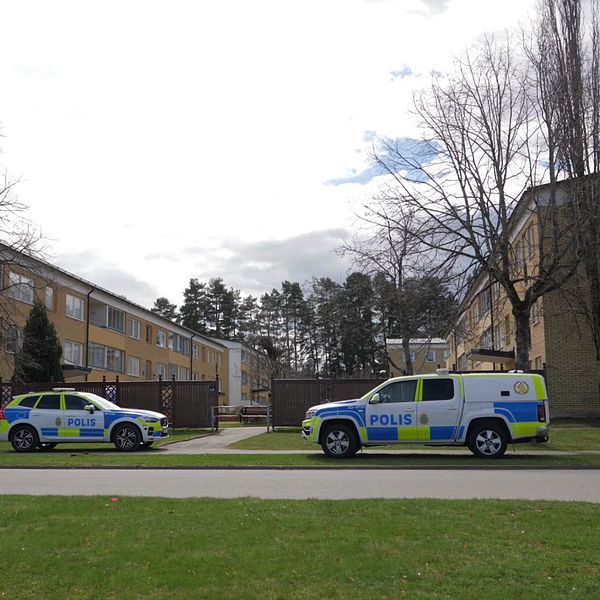 Två polisbilar står parkerade mitt emot varandra på en gata i Skövde. Och en bild på SVTs reporter.