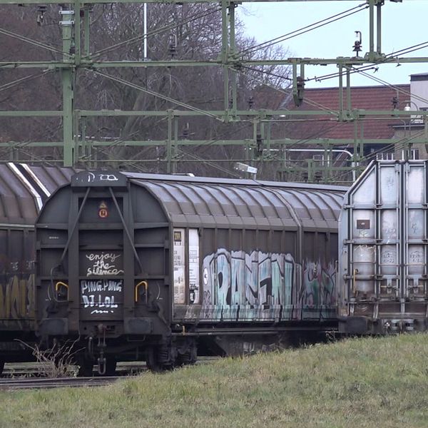 En delad bild som visar två sektioner. Den vänstra sektionen visar en tåglastbil med flera godsvagnar, varav en är täckt med graffiti, och omges av en grön miljö. Den högra sektionen visar Amanda Lublin som är doktorand i processrätt vid Stockholms universitet och som sitter framför ett fönster.