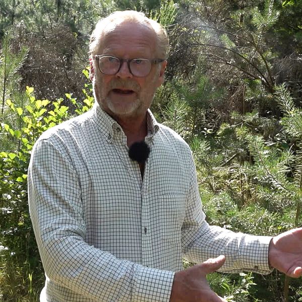 Staffan Påhlsson och en älg