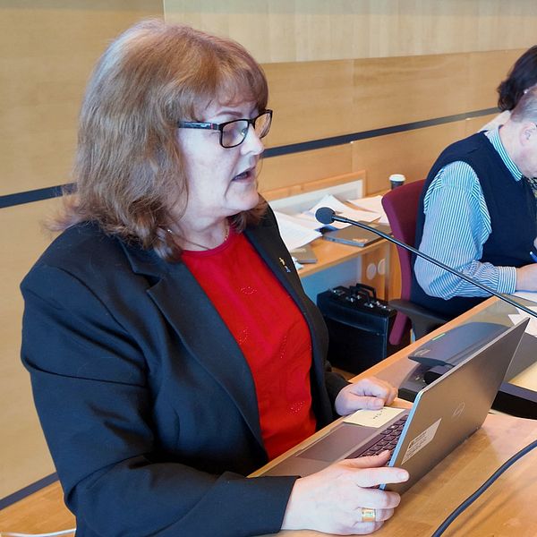 Christina Soldan (L) står i talarstolen. Fem personer sitter vid ett mötesbord med datorer och dokument.