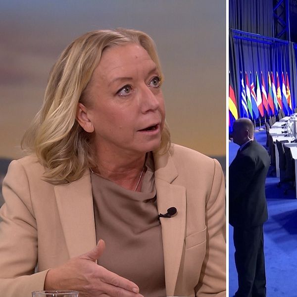 Elisabeth Marmorstein, inrikespolitisk kommentator analyserar i klippet om NATO.