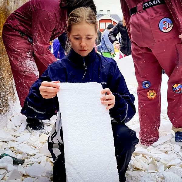 Kvinna med blont hår. Haj