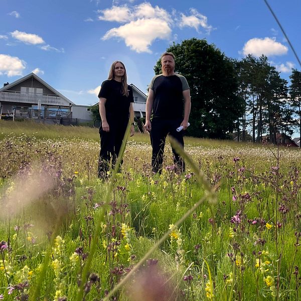 Emelie Andersson kommunekolog och Peter Andersson parkingenjör Trollhättan står på en blomsteräng