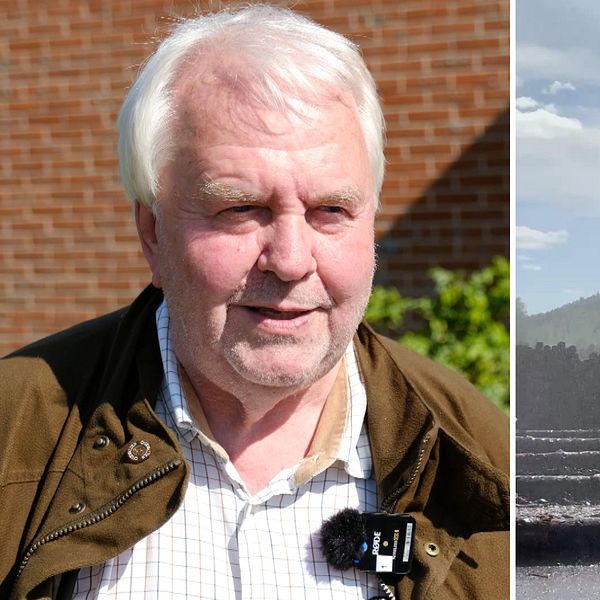 Regionen och Torsby kommun vädjar till Moelven: Sälj Ransbysågen | SVT ...