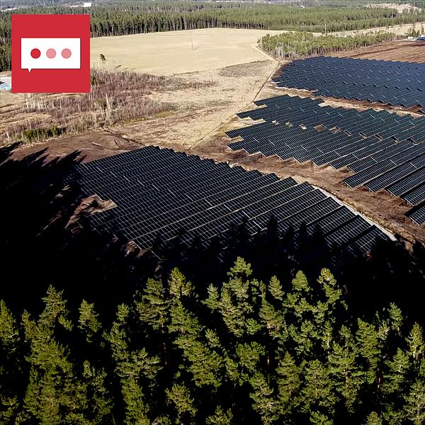 Storskalig solcellspark i en avlägsen skogsområde, med rader av solpaneler som sträcker sig över marken. I bakgrunden syns en skog och öppna fält, vilket framhäver den naturliga miljön runt anläggningen.