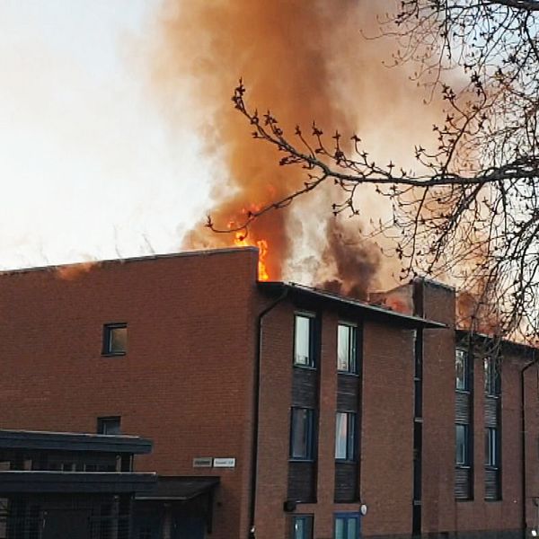 Brandman i förgrunden pratar om bygnaden som brunnit i bakgrundn