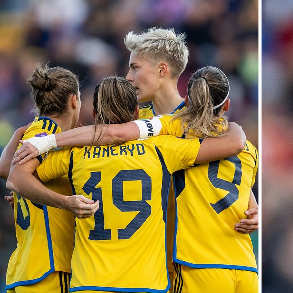 Sverige firar Johanna Rytting Kaneryds mål.