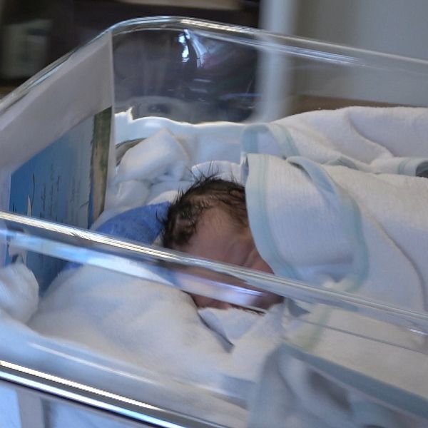 Nyfött barn på BB och en bild på Erika Häggblad, ordförande för barnmorskeförbundet i Västerbotten