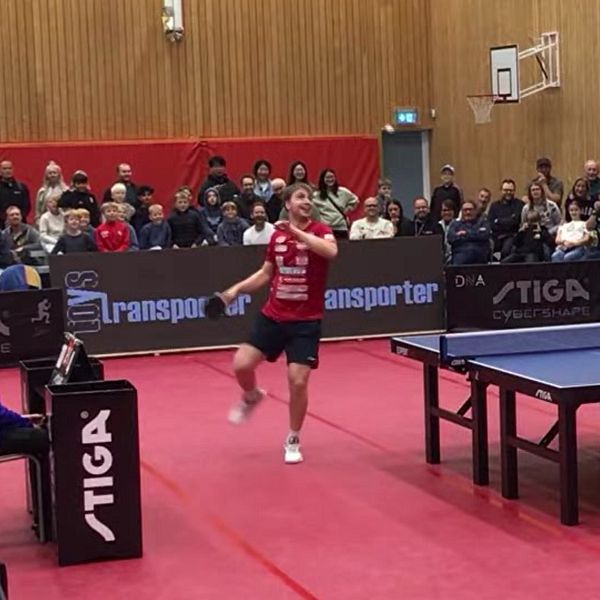 Bordtennis: Efter galna finalen – experten hyllar Truls Möregårdh | SVT ...