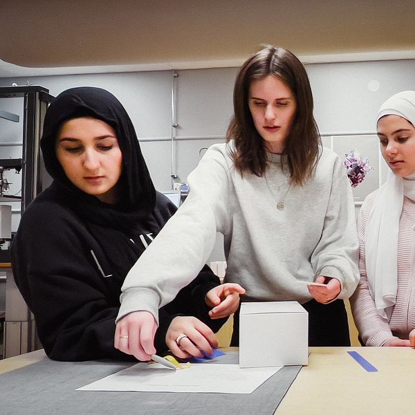 I bilden syns fyra tjejer som studerar andra året på Lindeskolan, naturprogrammet. De står framför ett bord och tittar ner mot en vikt kartong.
