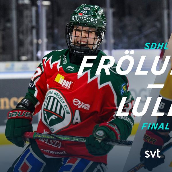 SDHL-final