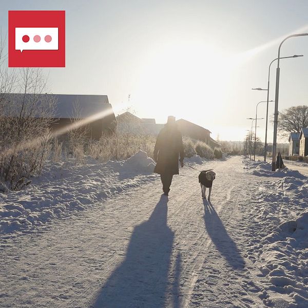 Promenad med hund och forskaren Olov Rolandsson Institutionen för folkhälsa och klinisk medicin, Umeå universitet