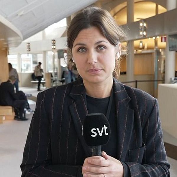 SVT:s politikreportrar Julia Lindvall och Daniel Ingmo i en intervju på redaktionen