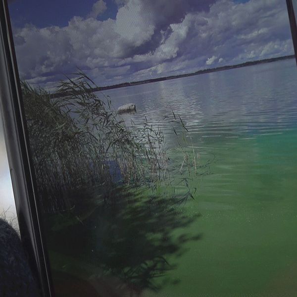 Delad bild. Till vänster en ”mobilbild” föreställande alger i vatten. till höger en man i vit jacka och svart mössa som pekar