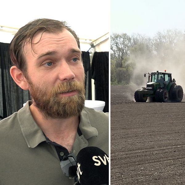 Andreas Nypelius syns på bild. en traktor på en åker. en stor säck potatis.