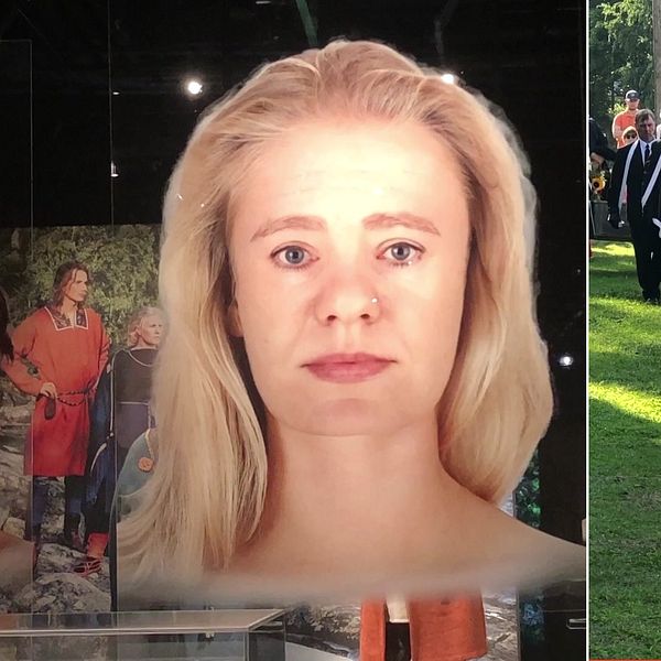 Forskare undersöker ursprunget till människorester förda till Sverige för rastudier.