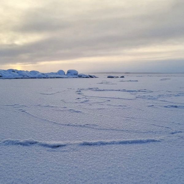 Till vänster är en bild på att det lagt is på Storsjöflaket. Till höger en bild på isbevakaren Andreas Gyllenhammar som står utomhus på vintern.