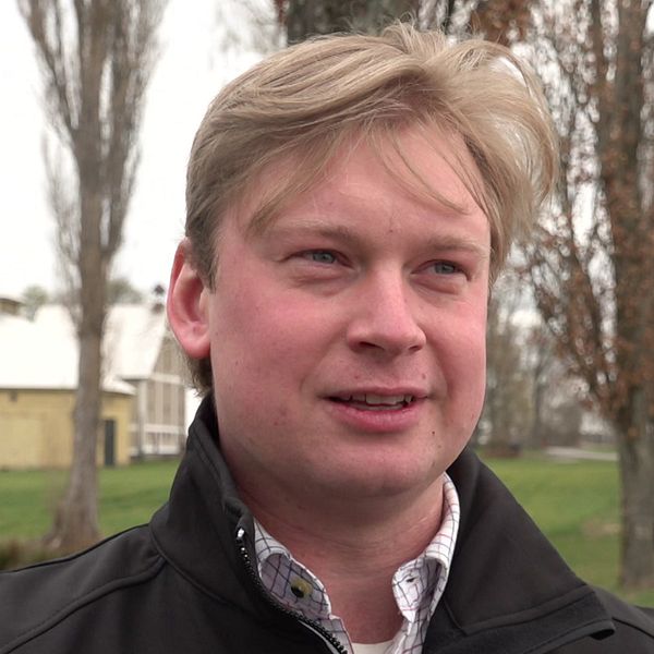 Delad bild. Till höger: skördetröska på ett fält nära skog.