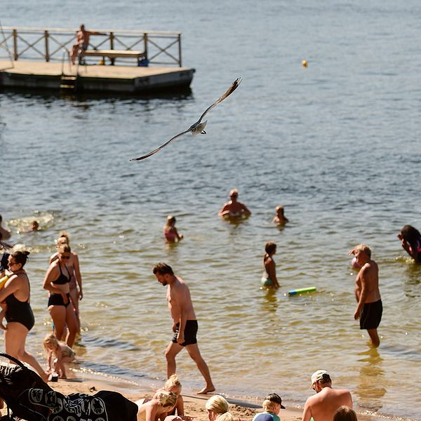 Här är faktorerna som avgör  vattenkvalitén på badplatser