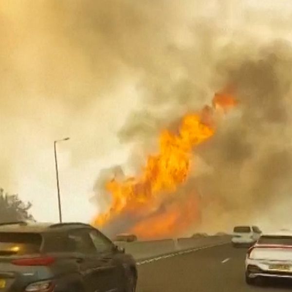 Delad bild. Vänster: bilar vid vägrenen nära stor skogsbrand. Höger: nedbränt och svartnat skogslandskap.