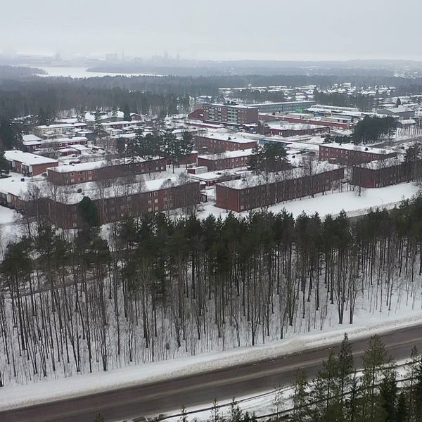 Vy över stadsdelen Hertsön och socialdemokratiska kommunalrådet i Luleå, Carina Sammeli.
