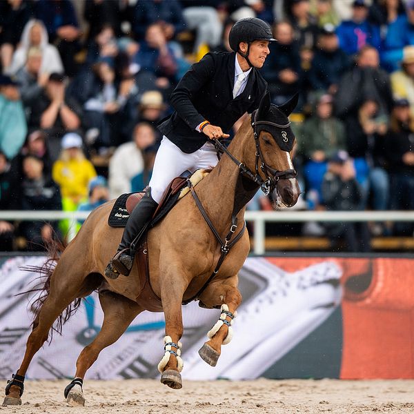 Royne Zetterman om svenska stjärnhästarna