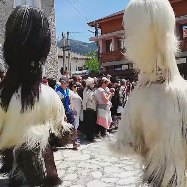 Kukeri-masker i traditionell bulgarisk dräkt på en folksamling. Dara i ESC
