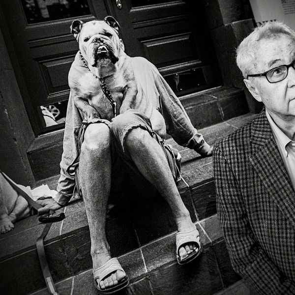 Elliott Erwitt