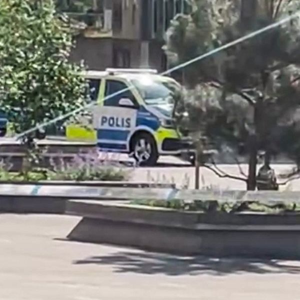 En polisbil