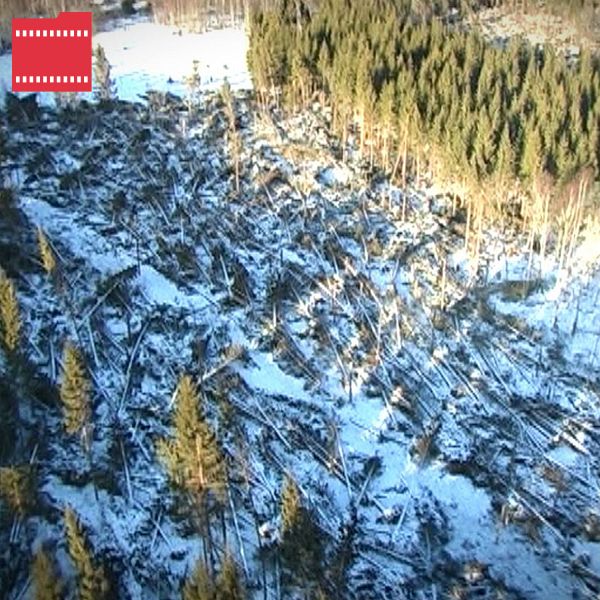 Den vänstra sektionen visar ett fågelperspektiv av ett skogsområde med nyligen nedfallna träd och snö, vilket indikerar en skada på landskapet. Den högra sektionen visar två män som skakar hand vid natten, med en bil i bakgrunden.