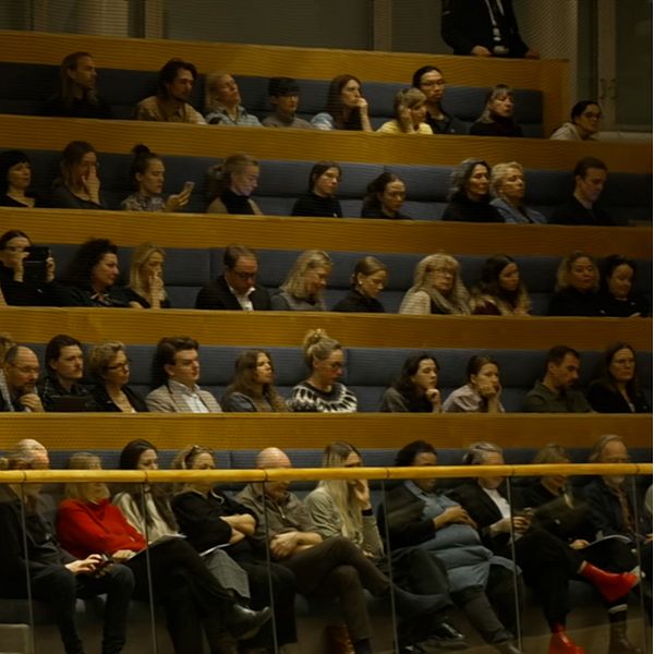 Kulturarbetare i riksdagen. Freja Hallberg, chef på teater Konträr.