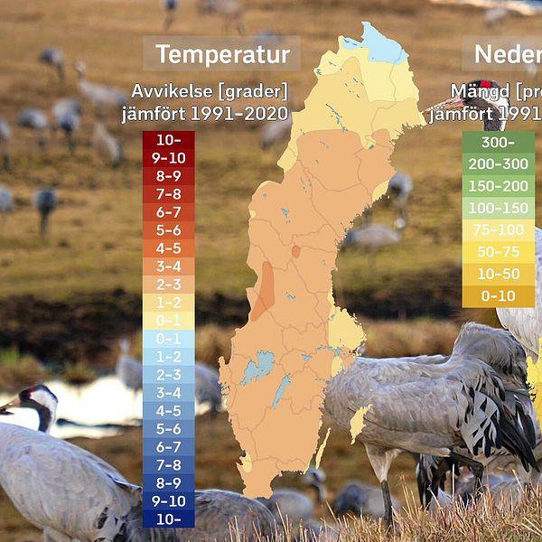 SVT:s meteorolog Per Stenborg sammanfattar det svenska aprilvädret 2025 på en och en halv minut.