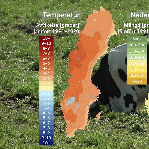 SVT:s meteorolog Per Stenborg sammanfattar det svenska majvädret 2024 på en och en halv minut.