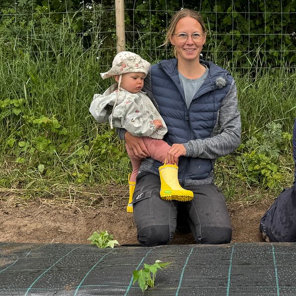 Kvinna med barn och en person planterar växter utomhus vid en odlingsbädd.