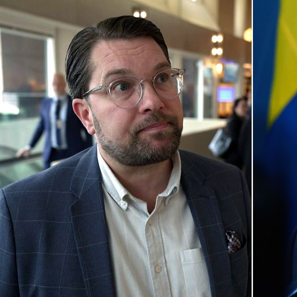Till vänster Jimmie Åkesson och till höger Henrik Vinge.