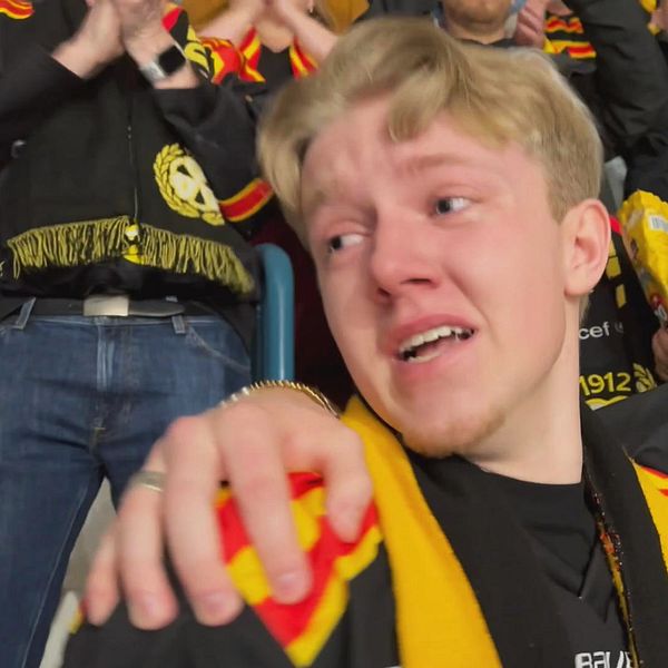 Brynäsfans firar SHL-återtåget.