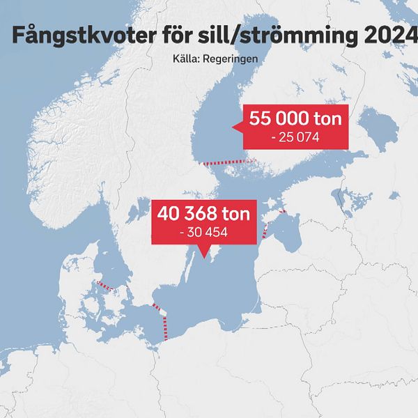 Till vänster: Landsbygdsminister Peter Kullgren. Till höger: karta/grafik över Sverige och Östersjön som visar Fångstkvoter för sill/strömmin 2024