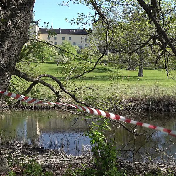 Platsen där bävrarna tidigare hade sitt hem vid Tyresö slott och bild på skylten som varnar besökare för riskerna på platsen.