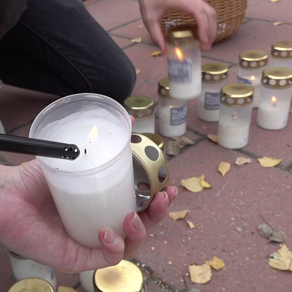 Helena Muotka om Luleås nya suicidplan