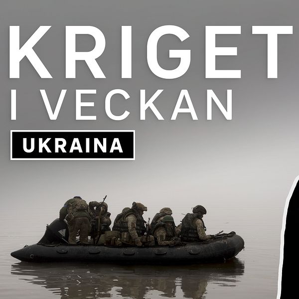 Kriget i veckan