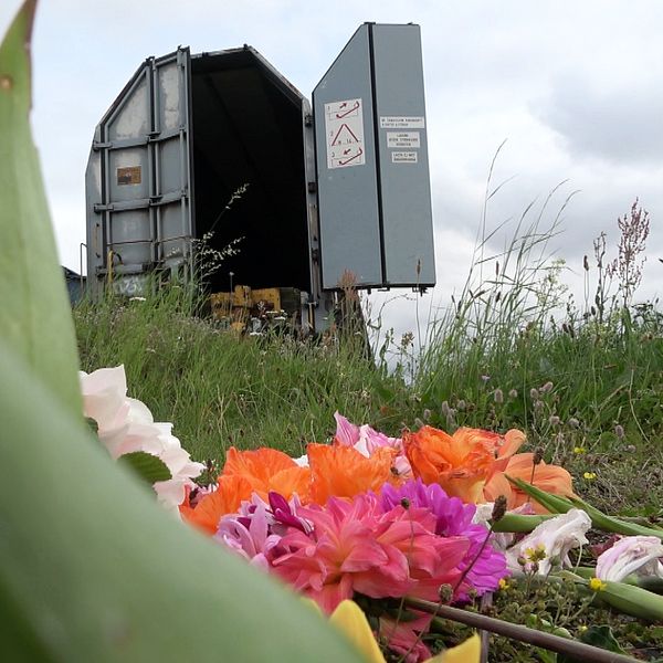 Amanda Lublin doktorand i processrätt och blommor vid brottsplatsen