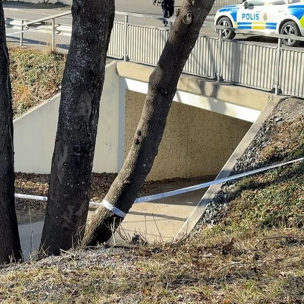 Delad bild. Till vänster: Bro med polisbilar. Till höger: En man står utomhus.